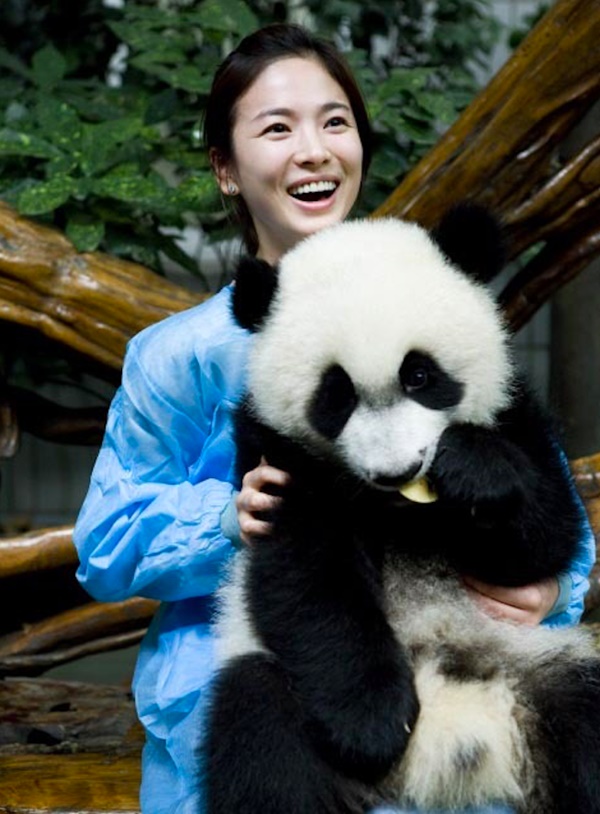 Hình ảnh Song Hye Kyo để mặt mộc chăm sóc gấu trúc được chia sẻ lại-3