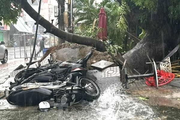 Bão số 1 cách Quảng Ninh khoảng 140km, tiến nhanh về đất liền-2