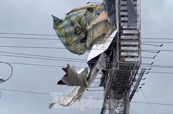 Dông lốc quật ngã cây xanh, đè bẹp xe 16 chỗ, sập quán cà phê-3