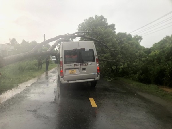 Dông lốc quật ngã cây xanh, đè bẹp xe 16 chỗ, sập quán cà phê-4