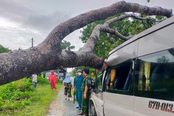 Dông lốc quật ngã cây xanh, đè bẹp xe 16 chỗ, sập quán cà phê-5