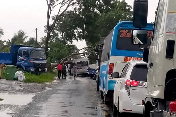 Dông lốc quật ngã cây xanh, đè bẹp xe 16 chỗ, sập quán cà phê-7