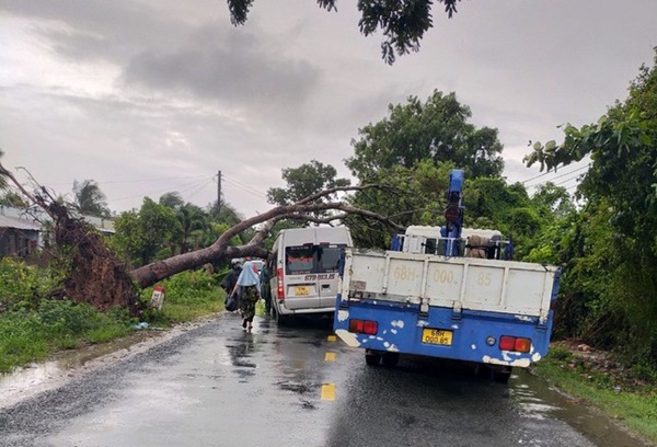 Dông lốc quật ngã cây xanh, đè bẹp xe 16 chỗ, sập quán cà phê-8