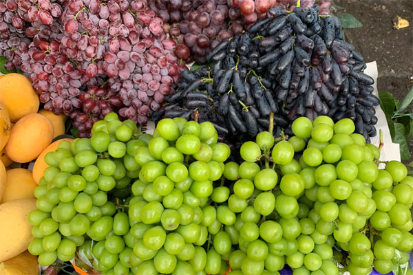 Loại bí kỳ lạ, ruột như sợi mì, giá trăm nghìn/kg vẫn cháy hàng-5