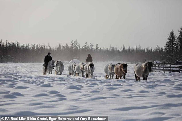 Tuyến đường bộ dài nhất thế giới có gì đáng sợ mà chưa một ai dám đi hết?-5
