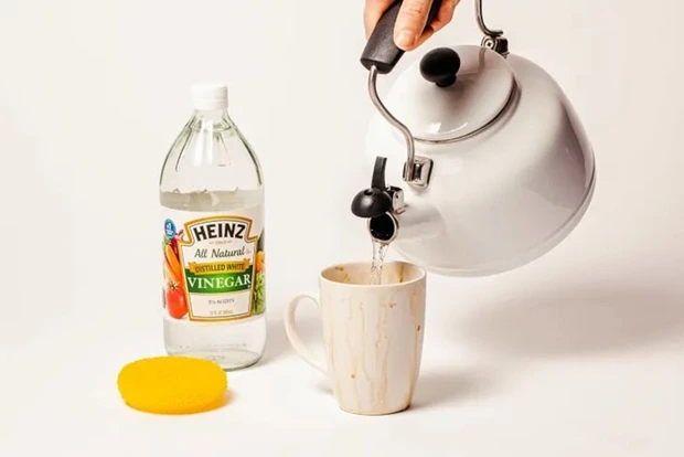 The best way to remove coffee stains in a cup-1