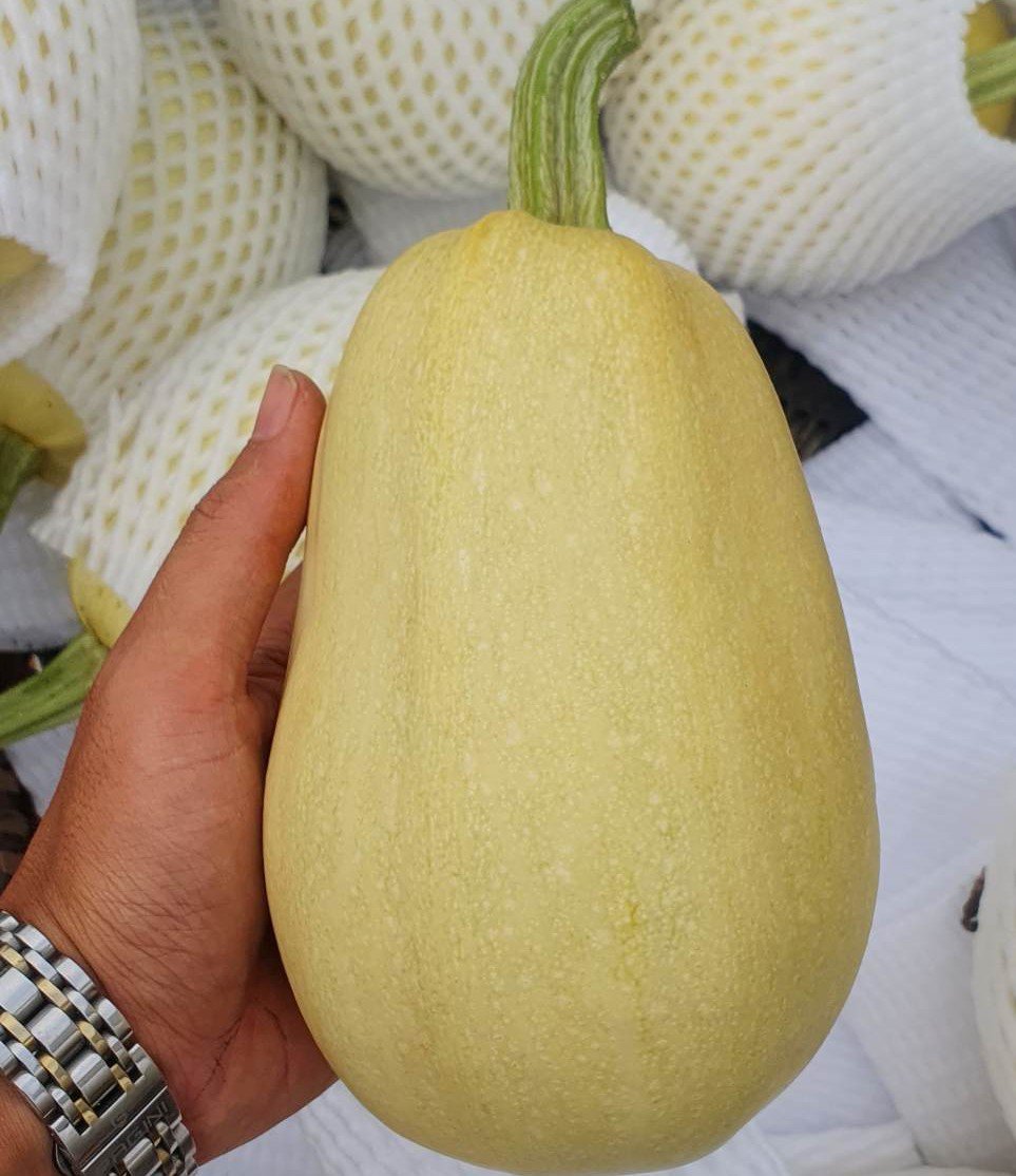 Loại bí kỳ lạ, ruột như sợi mì, giá trăm nghìn/kg vẫn cháy hàng-2