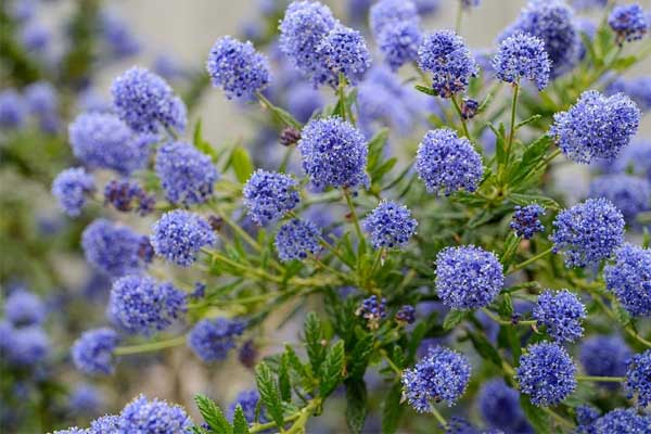 Chuột sa hũ nếp: 3 con giáp lộc lá bủa vây, cuối tháng 7 kiếm tiền đầy túi, hạnh phúc trong tay-4