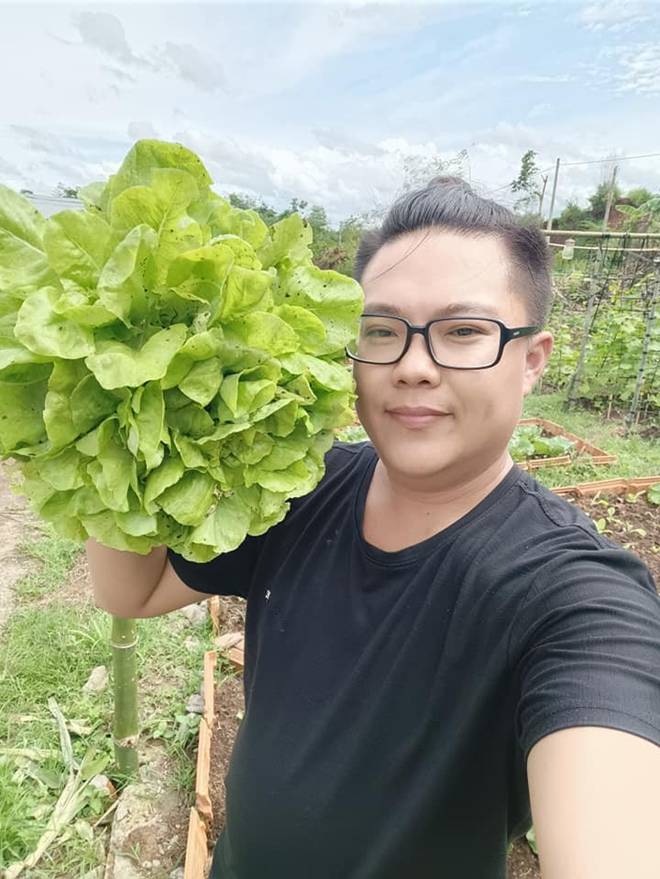 Đang cầm cọ trang điểm, chàng trai 8X nghỉ việc về quê cầm cuốc trồng rau, nay làm chủ 1.000m2 vườn-6