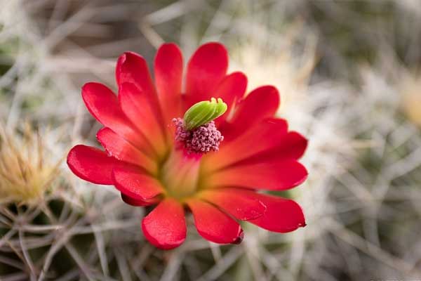 Tử vi ngày 20/7/2023: Tuổi Thìn dễ vướng rắc rối, tuổi Ngọ gặp người hợp ý-2