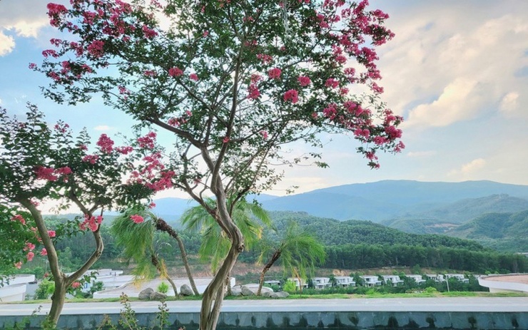 Bên trong biệt thự trên núi đẹp như mơ của Mạnh Trường, chi tiết bất ngờ khiến dân tình thích thú-2