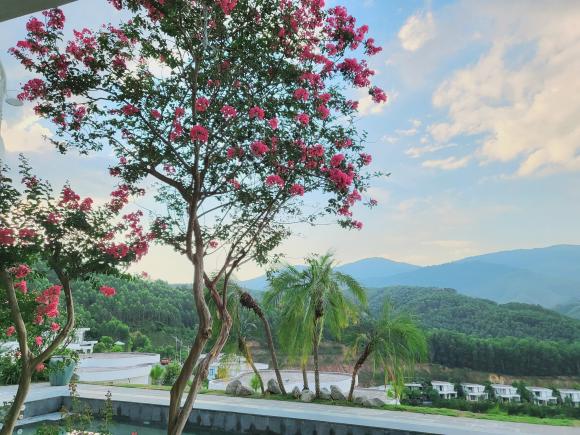 Bên trong biệt thự trên núi đẹp như mơ của Mạnh Trường, chi tiết bất ngờ khiến dân tình thích thú-18