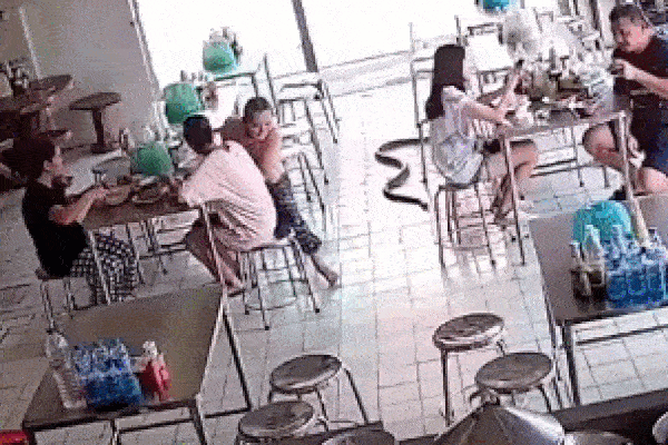 Clip: Trăn khổng lồ bò vào cửa hàng khiến khách hoảng sợ tháo chạy