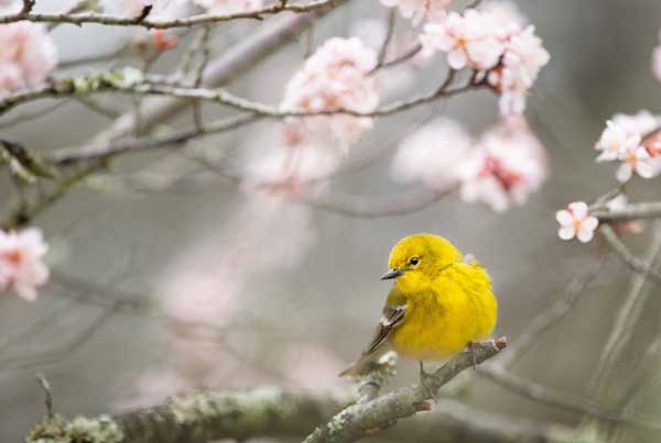 Tài lộc bùng nổ: 4 con giáp thăng chức tăng lương trong tháng 8, tình yêu viên mãn, tiền tài dư dả-2