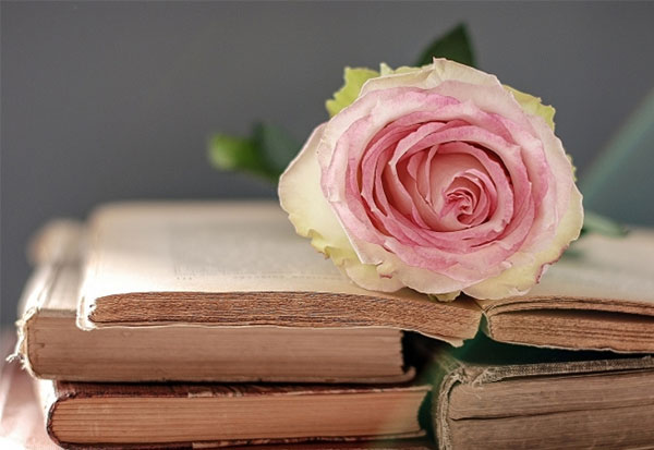 Tử vi ngày 21/7/2023: Tuổi Tý có nhiều tiến bộ, tuổi Sửu cẩn trọng tiền bạc-1