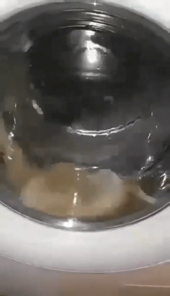 Quá lười để rửa thịt sống, cô gái tận dụng máy giặt và cái kết khiến nhiều người lắc đầu ngán ngẩm-3