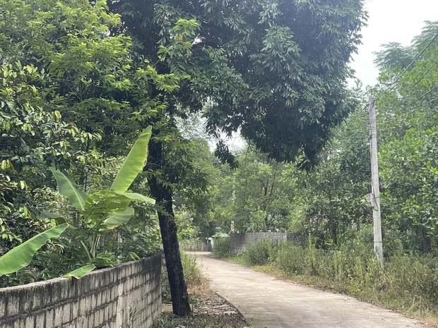 Vụ nam tài xế xe ôm công nghệ tại Hà Nội bị sát hại dã man: Nghẹn ngào cuộc gọi cuối cùng của nạn nhân với bố mẹ-2