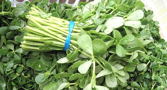 Thứ rau dại mọc nhiều sau mưa thành đặc sản được nhiều gia đình lùng mua dù đắt hơn rau thông thường-2