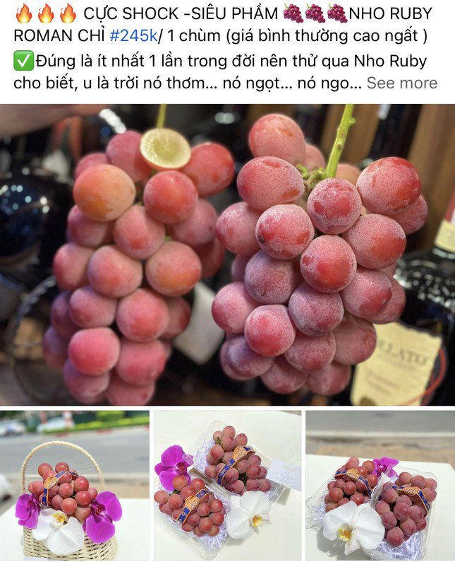 Hoa quả Trung Quốc ngập chợ Hà Nội, có loại xưng danh đắt nhất thế giới-3