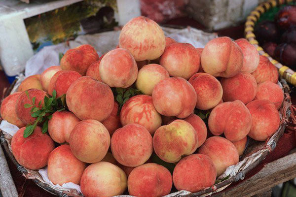 Sự thật quýt Úc tràn ngập chợ, giá siêu rẻ-4