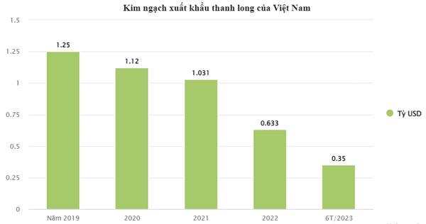 Hết thời là trái cây tỷ USD, thanh long tràn ra chợ giá rẻ bèo-2