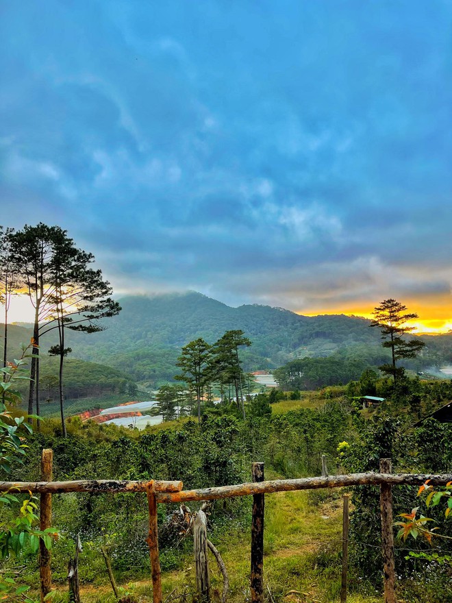 Chàng trai cầu hôn bằng chiếc nhẫn 150.000 đồng, đưa vợ đi mua mảnh đất 40.000m2-6