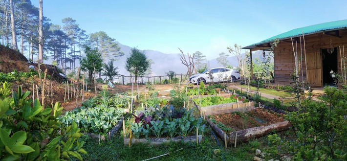 Chàng trai cầu hôn bằng chiếc nhẫn 150.000 đồng, đưa vợ đi mua mảnh đất 40.000m2-9