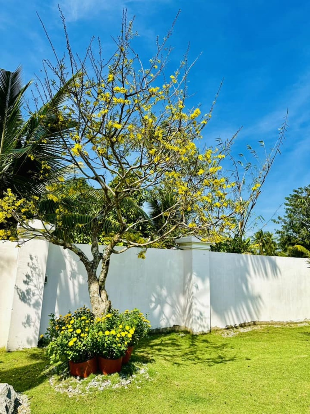 Biệt phủ 4.000 m2 của gia đình ca sĩ Lâm Hùng - người từng được NSƯT Vũ Linh nâng đỡ-9