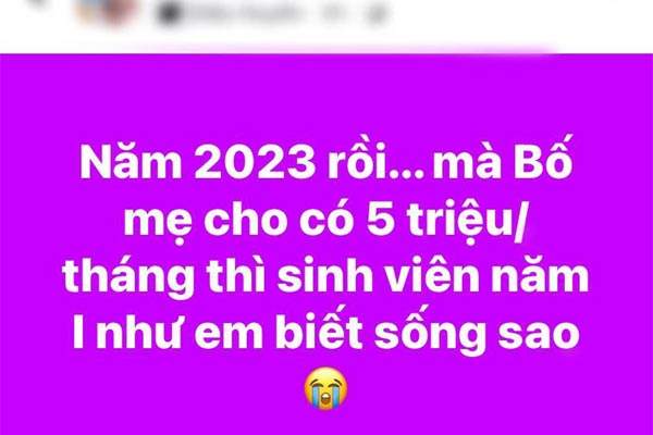 Bi kịch sinh viên học đại học theo phong trào, ra trường chạy Grab-3