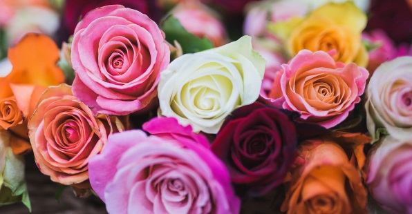 Lộc lá bủa vây: Người sinh vào 5 ngày Âm lịch này sở hữu IQ cao, về sau thành công rực rỡ-3