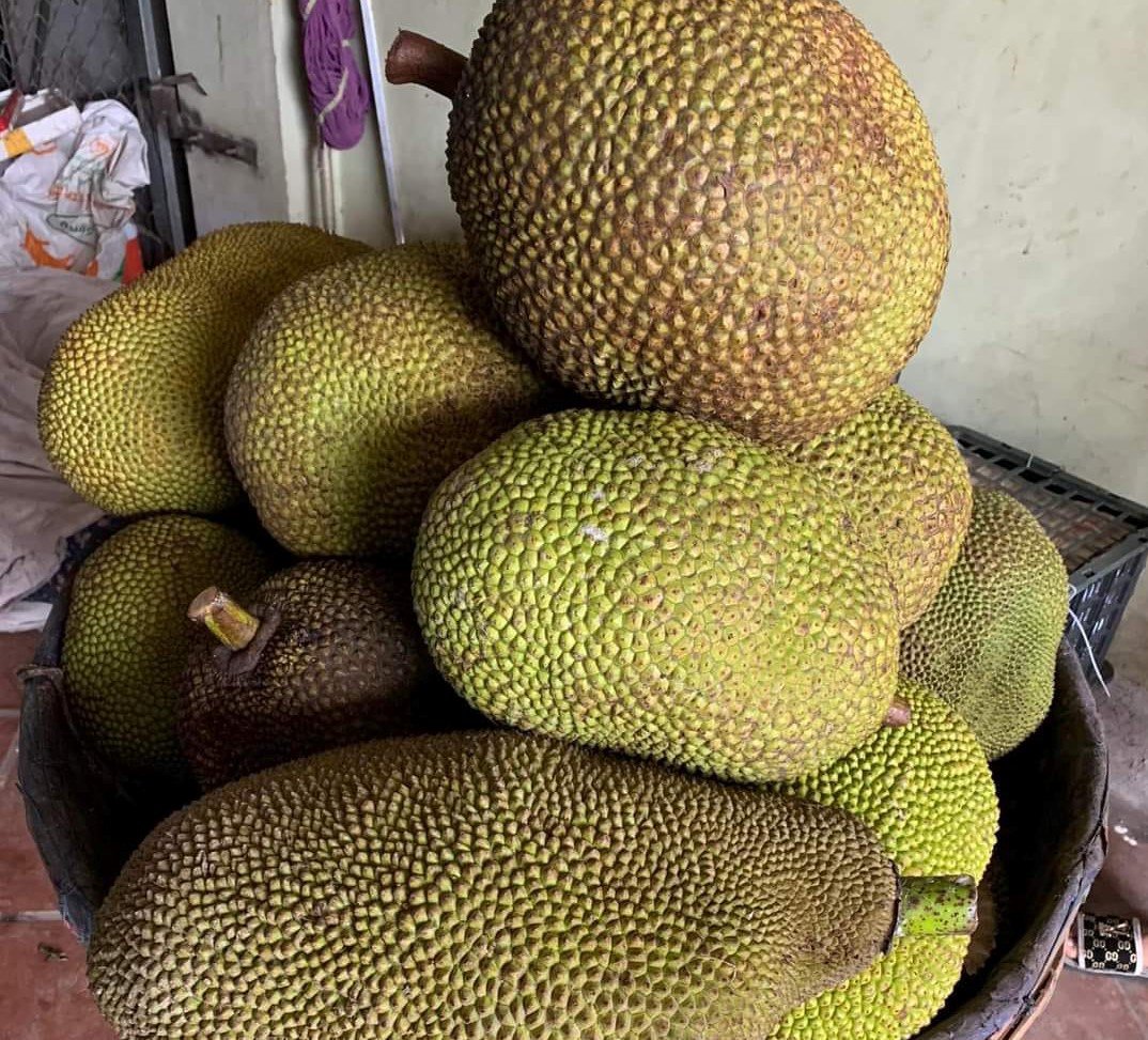 Loại quả được ví như siêu thực phẩm” bán giá rẻ bất ngờ vẫn ế ẩm-1