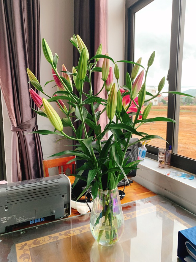 Cận bên trong cơ ngơi gia đình Hoa hậu Ý Nhi tại Bình Định, 1 chi tiết hé lộ sở thích của nàng hậu-3