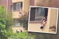 Phẫn nộ người cha Trung Quốc treo ngược con gái ngoài cửa sổ tầng 2