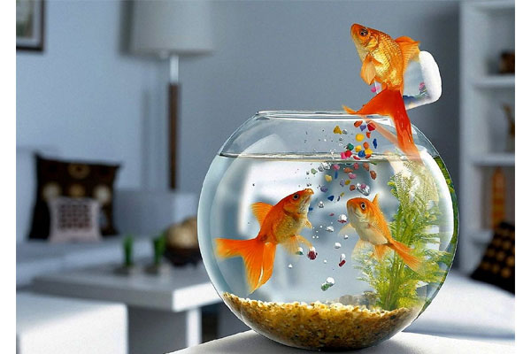 7 lưu ý để bài trí văn phòng đúng phong thủy, giúp công việc suôn sẻ, thăng chức, tăng lương đều đều-3