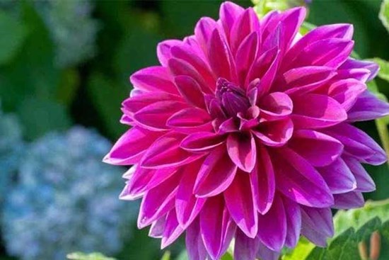 Vượt lên nghịch cảnh: 3 con giáp đầu tháng 6 Âm lịch gặp may mắn, cuối tháng ắt giàu khủng