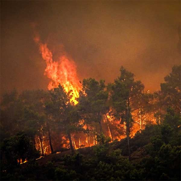 Cháy lớn tại Hy Lạp: Du khách tháo chạy, cảnh tượng chưa từng có-3