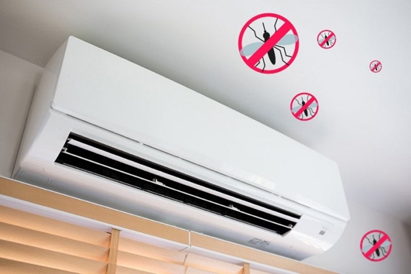 Mộc nhĩ ngâm với nước là sai bét”, thêm thứ này nở rất nhanh, đất bẩn và vi khuẩn tự trôi ra hết-7