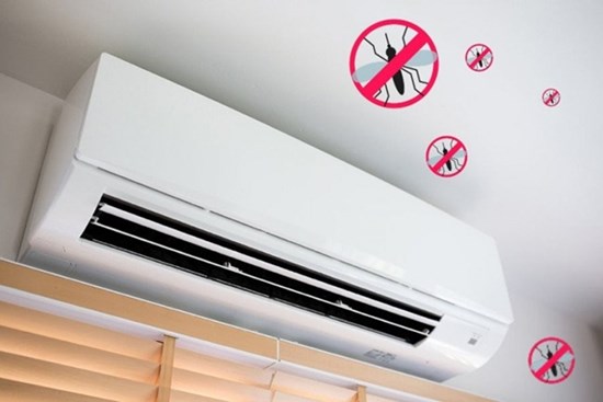 Muỗi ở trong phòng điều hòa có chết không? Tại sao bật điều hòa không thấy muỗi và không bị đốt?