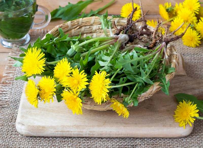 Mùa hè đừng coi thường loại rau dại vua giải độc này, dưỡng gan, thanh nhiệt, hấp bánh cực ngon-2