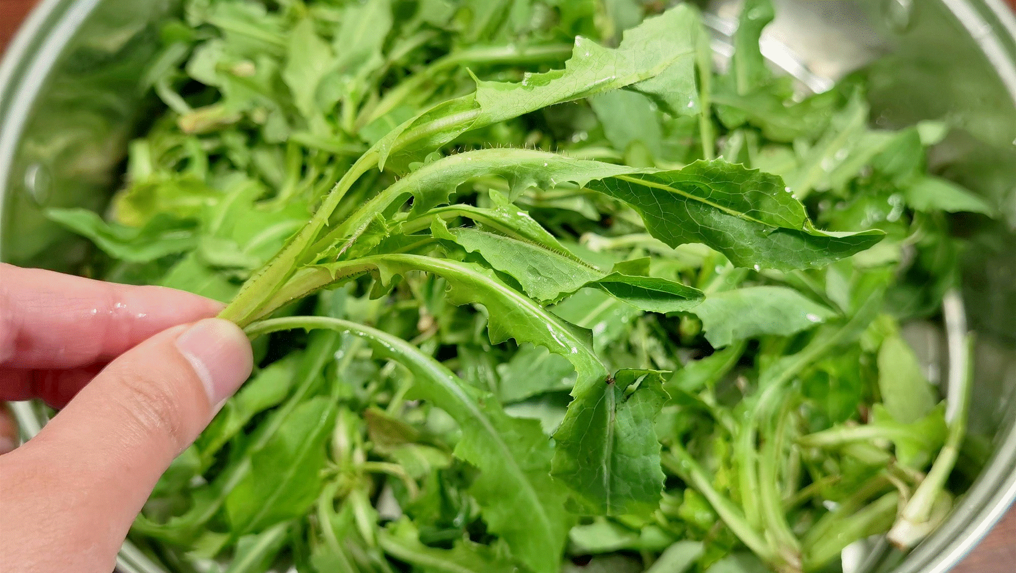 Mùa hè đừng coi thường loại rau dại vua giải độc này, dưỡng gan, thanh nhiệt, hấp bánh cực ngon-4