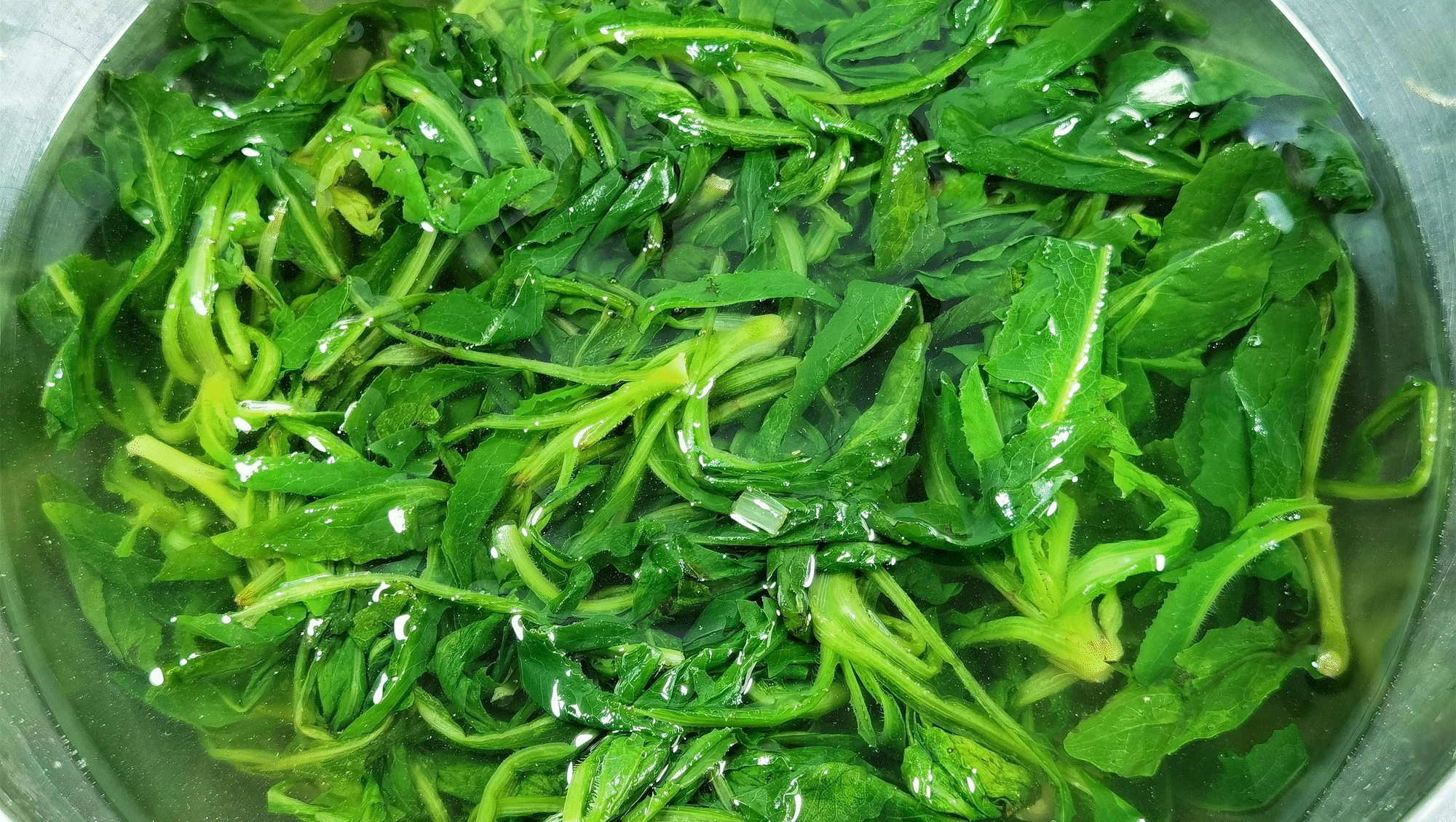 Mùa hè đừng coi thường loại rau dại vua giải độc này, dưỡng gan, thanh nhiệt, hấp bánh cực ngon-5