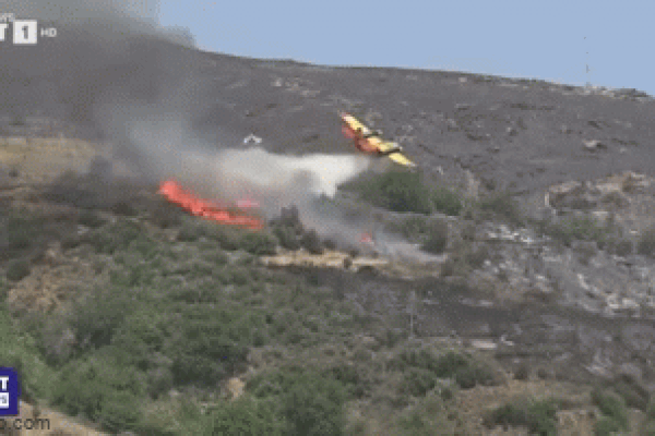 Clip: Kinh hoàng máy bay chữa cháy ở Hy Lạp bị rơi khi đang dập lửa