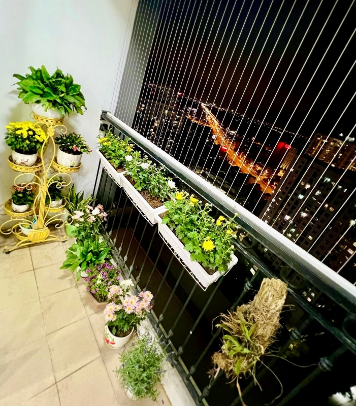 Cô bốc vác Luyến lươn lên sóng bình luận World Cup, hiếm hoi tiết lộ góc nhà giản dị-7