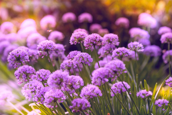 Lộc rót đầy tay: Sinh vào 4 tháng Âm lịch này, phúc khí dồi dào, cuộc sống sung túc, con cháu thịnh vượng-4