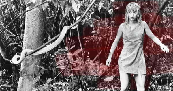 Câu chuyện về cô gái từng rơi khỏi máy bay ở độ cao 3.000 mét, 11 ngày sau được tìm thấy trong rừng với bộ dạng khó tin-4