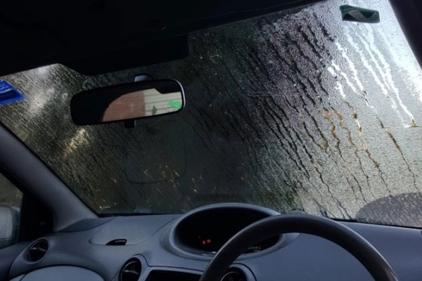 Vợ ngoại tình, chồng đồng ý cho cưới nhưng người tình từ chối-2