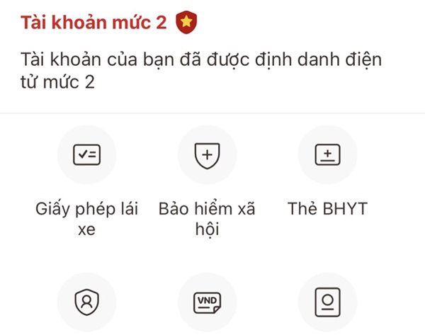 Quên thẻ bảo hiểm y tế giấy khi đi khám chữa bệnh, cách nào để thay thế?-1