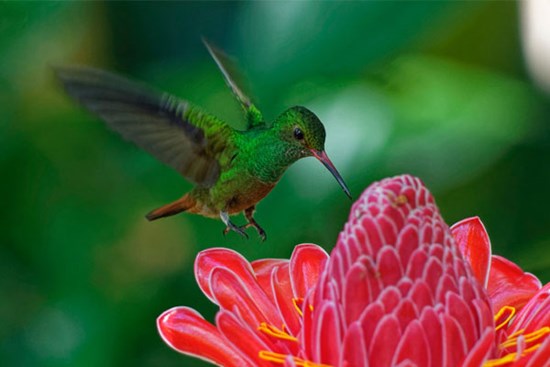 Thần may mắn dẫn đường: 3 con giáp vạn sự như ý, sự nghiệp thăng tiến vượt bậc trong 60 ngày tới