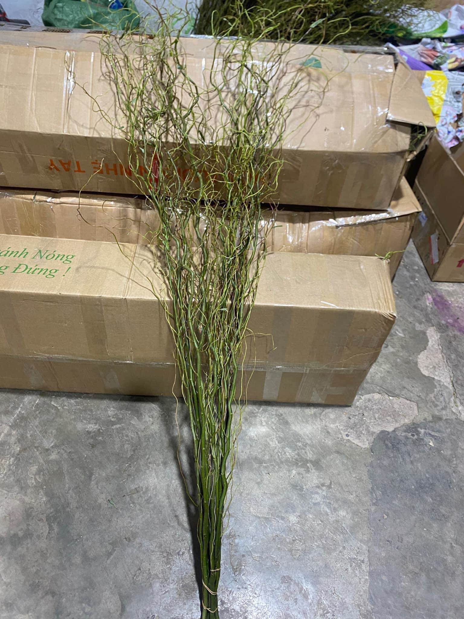 Đua nhau mua cành củi khô xoăn tít” về trưng, dân buôn ngày bán trăm bó-1