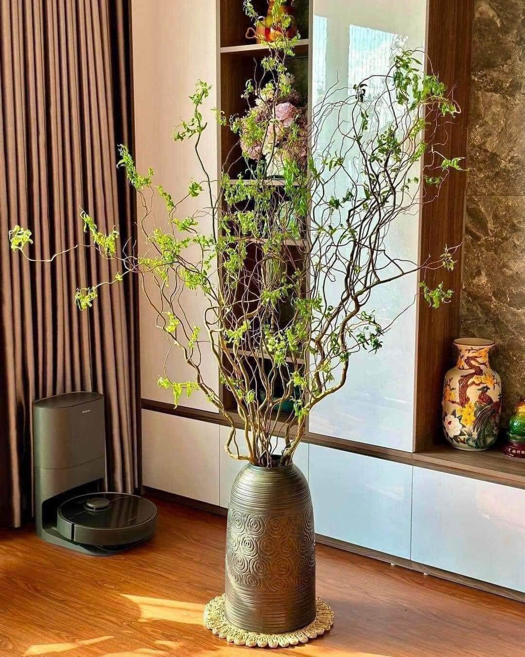 Đua nhau mua cành củi khô xoăn tít” về trưng, dân buôn ngày bán trăm bó-3